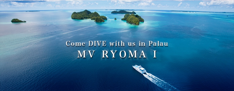 MV RYOMA I パラオ